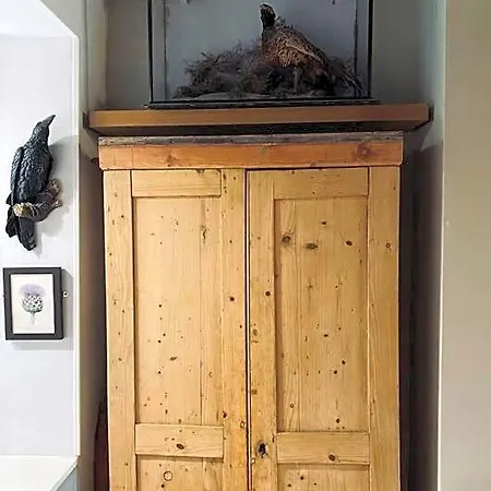 Spacious Boutique Apartment